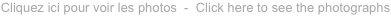 shapeimage_2_link_10