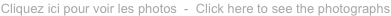 shapeimage_3_link_5