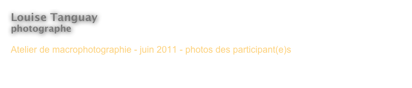 Louise Tanguay
photographe 

Atelier de macrophotographie - juin 2011 - photos des participant(e)s



< Revenir à l’index