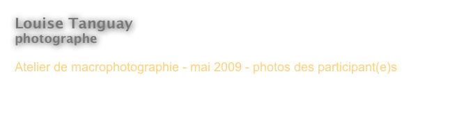 Louise Tanguay
photographe 

Atelier de macrophotographie - mai 2009 - photos des participant(e)s



< Revenir à l’index
