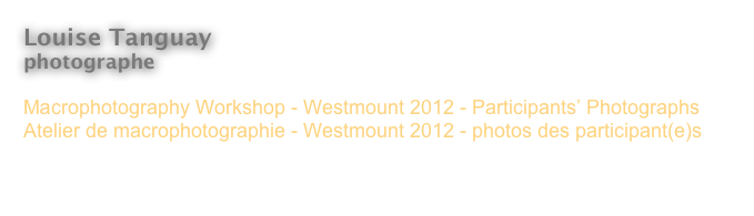 Louise Tanguay
photographe 

Macrophotography Workshop - Westmount 2012 - Participants’ Photographs
Atelier de macrophotographie - Westmount 2012 - photos des participant(e)s




< Revenir à l’index